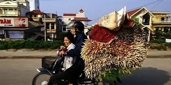 bob半岛体育官方网站-回国后我才敢说：越南是我去过的所有国家中，最被低估的